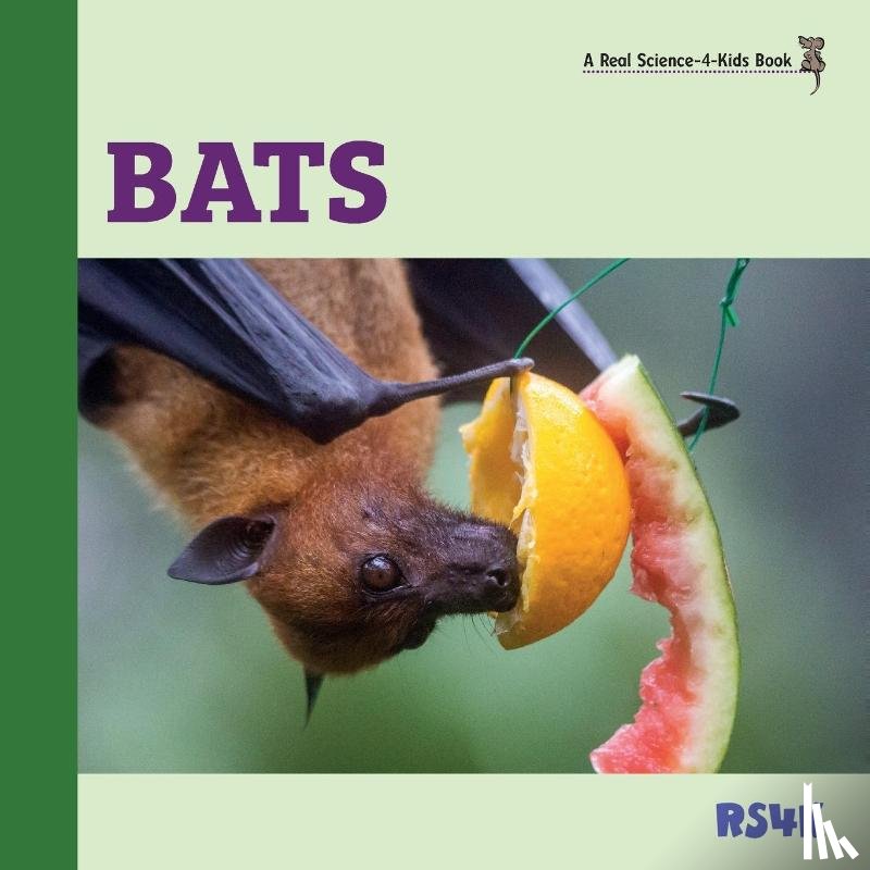 Woodbury M Ed, Rebecca - Bats
