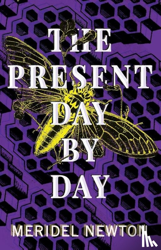 Newton, Meridel - The Present Day by Day