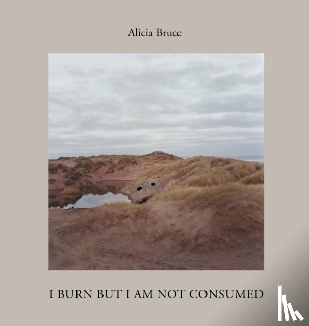 Bruce, Alicia - I Burn But Am Not Consumed