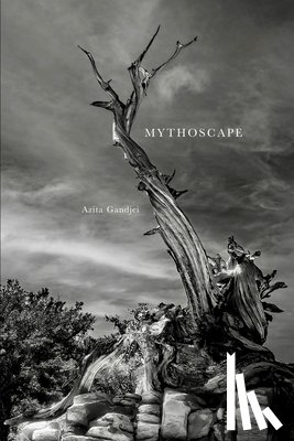 Gandjei, Azita - Mythoscape