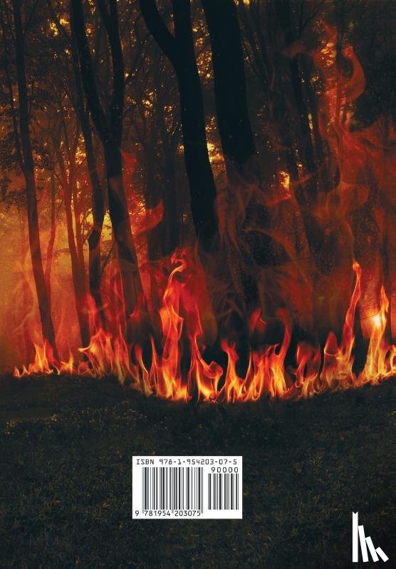 Vargus, L T, McBain, Tim - Night on Fire