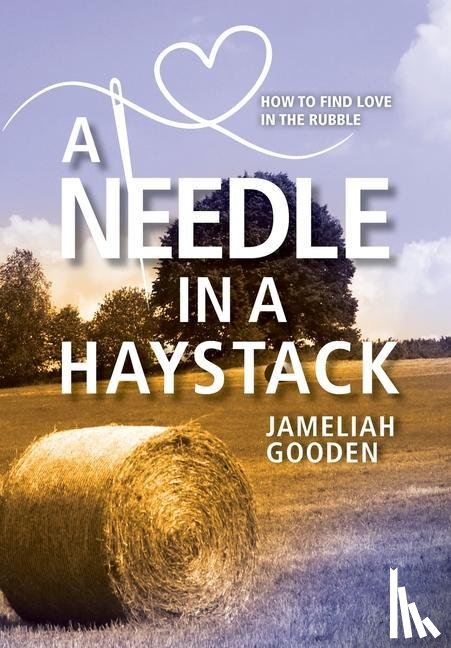 Gooden, Jameliah - A Needle in a Haystack