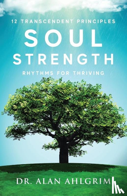 Ahlgrim, Alan - Soul Strength
