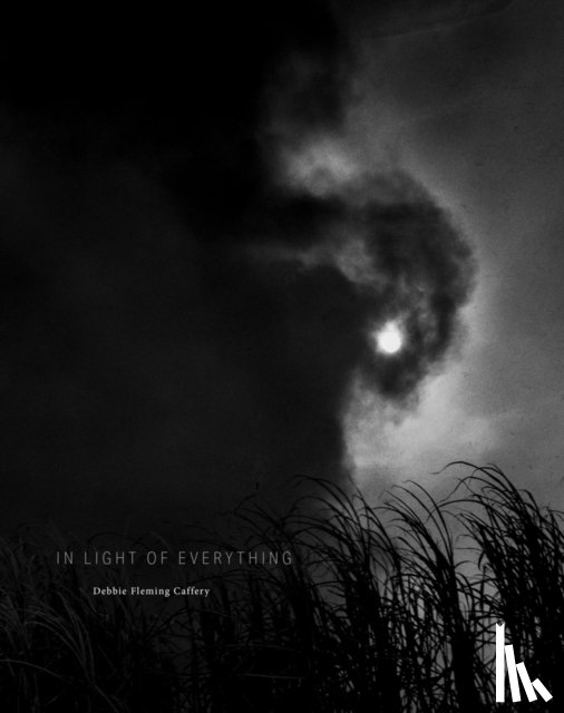 Caffery, Debbie Fleming - Debbie Fleming Caffery: In Light of Everything