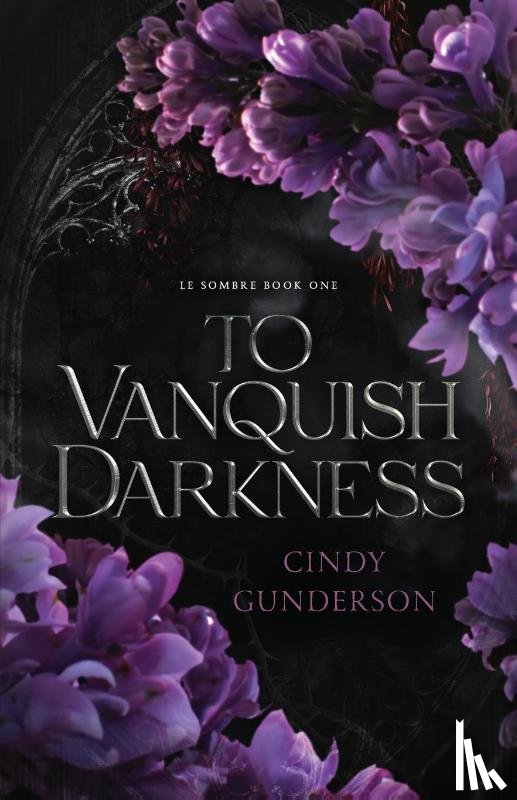 Gunderson, Cindy - To Vanquish Darkness