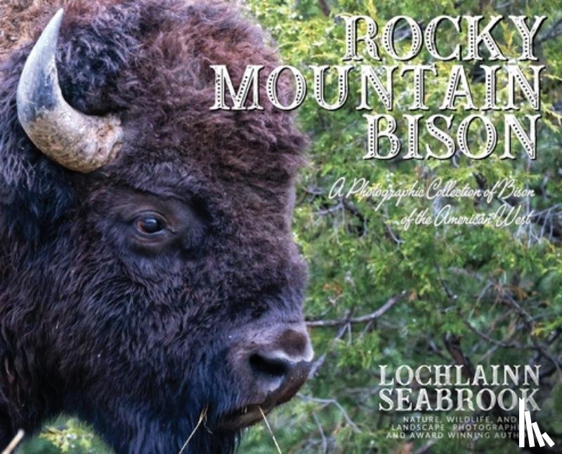 Seabrook, Lochlainn - Seabrook, L: Rocky Mountain Bison