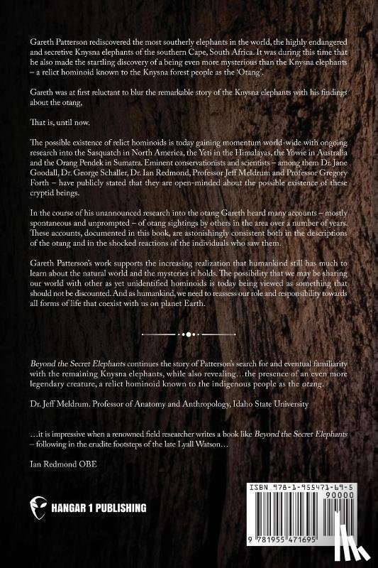 Patterson, Gareth - Beyond the Secret Elephants