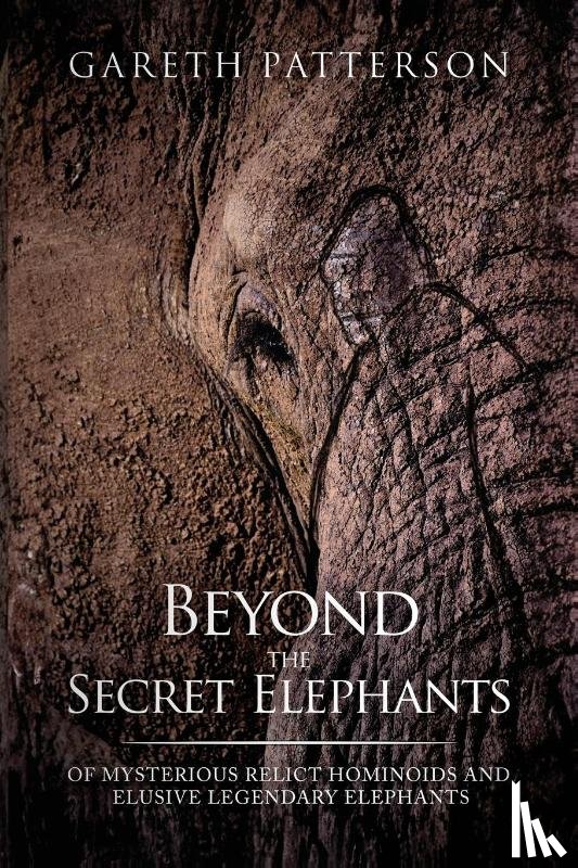 Patterson, Gareth - Beyond the Secret Elephants