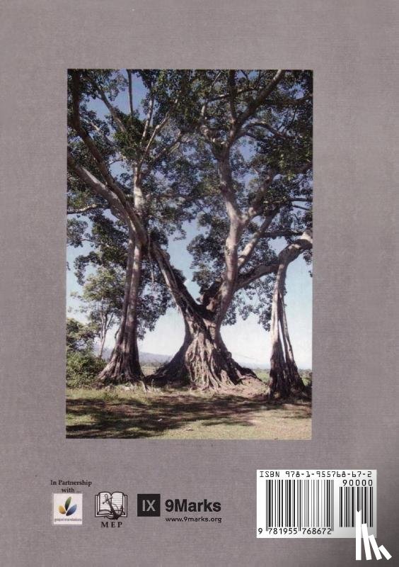 Dever, Mark - Nine Marks of a Healthy Church (Burmese)