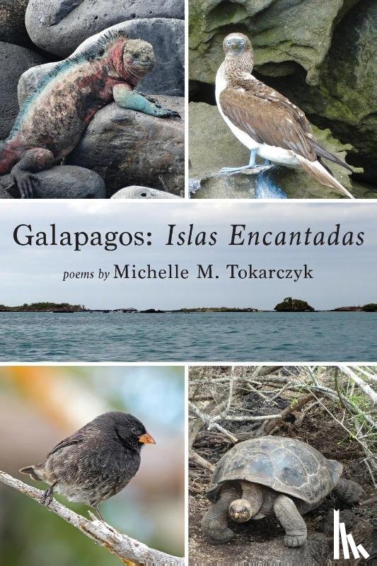 Tokarczyk, Michelle M - Galapagos