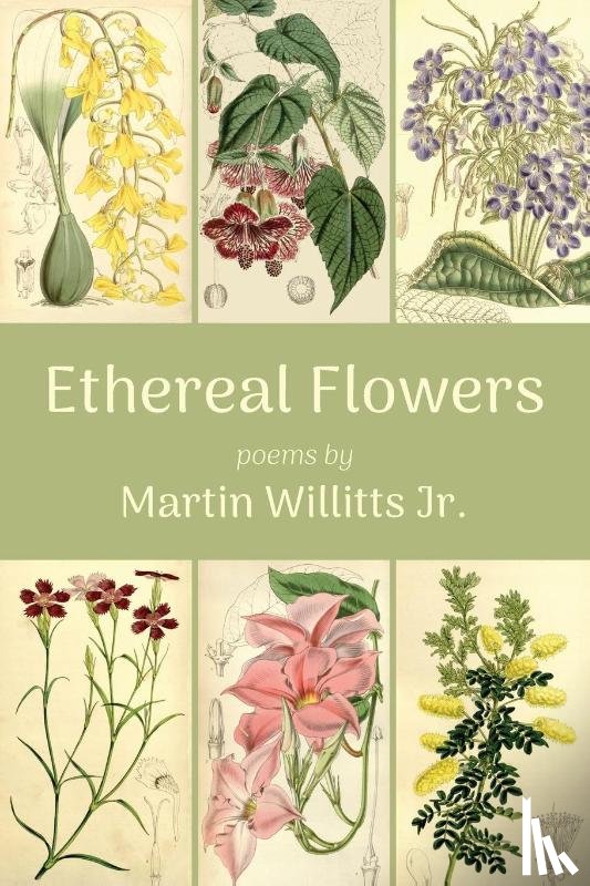 Willitts, Martin - Ethereal Flowers
