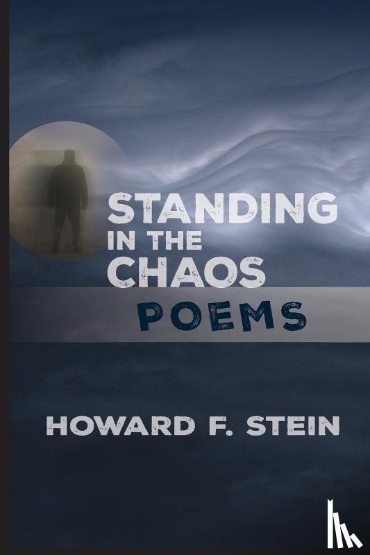 Stein, Howard F. - Standing in the Chaos