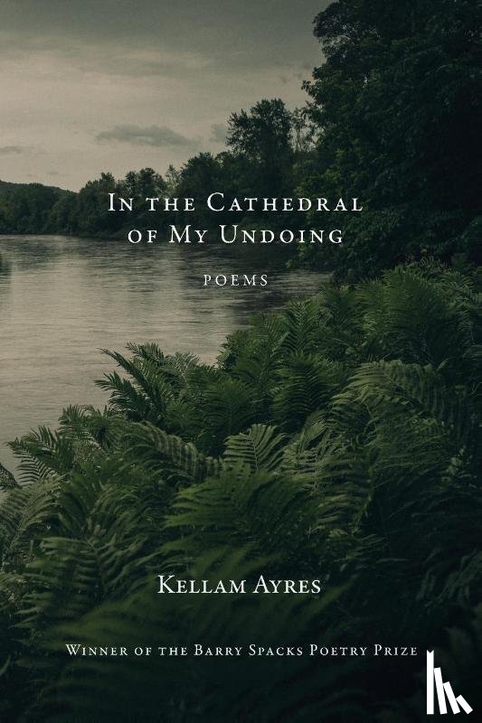 Ayres, Kellam - In the Cathedral of My Undoing
