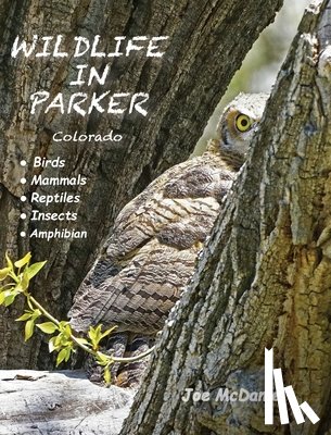 Mcdaniel, Joe - Wildlife In Parker