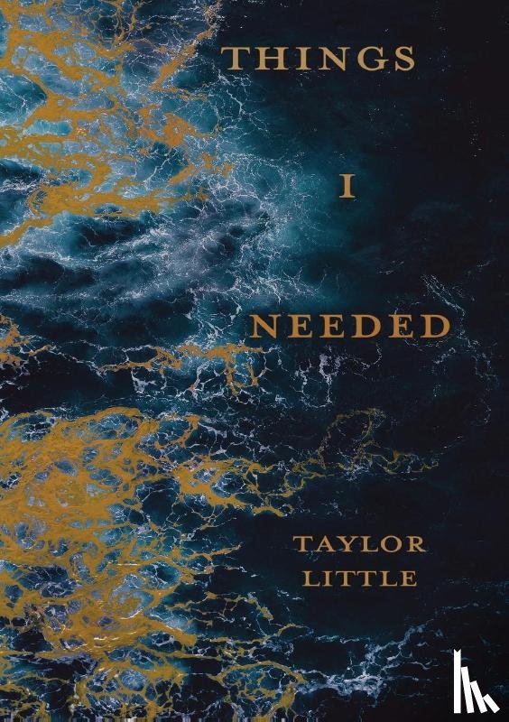 Little, Taylor - Things I Needed