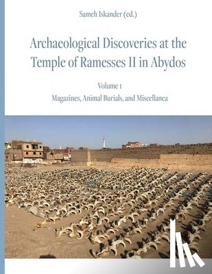  - Archaeological Discoveries at the Temple of Ramesses II in Abydos: Vol. 1
