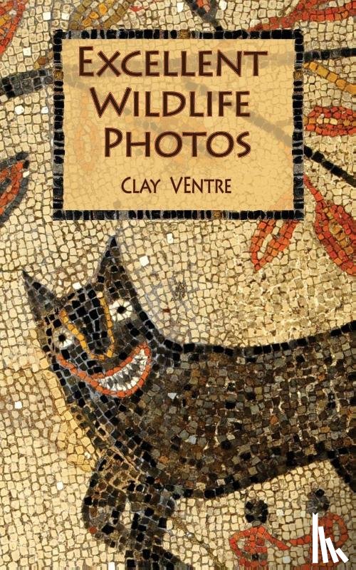 Ventre, Clay - Excellent Wildlife Photos