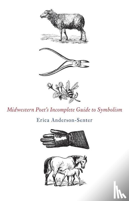 Anderson-Senter, Erica - Midwestern Poet's Incomplete Guide to Symbolism