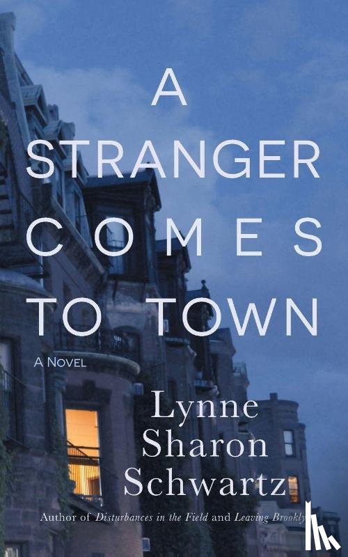 Schwartz, Lynne Sharon - A Stranger Comes to Town