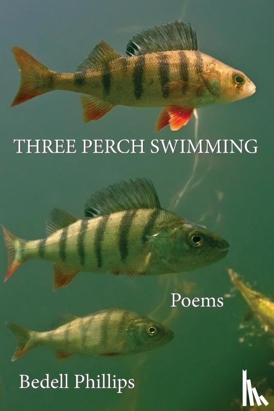 Phillips, Bedell - Three Perch Swimming