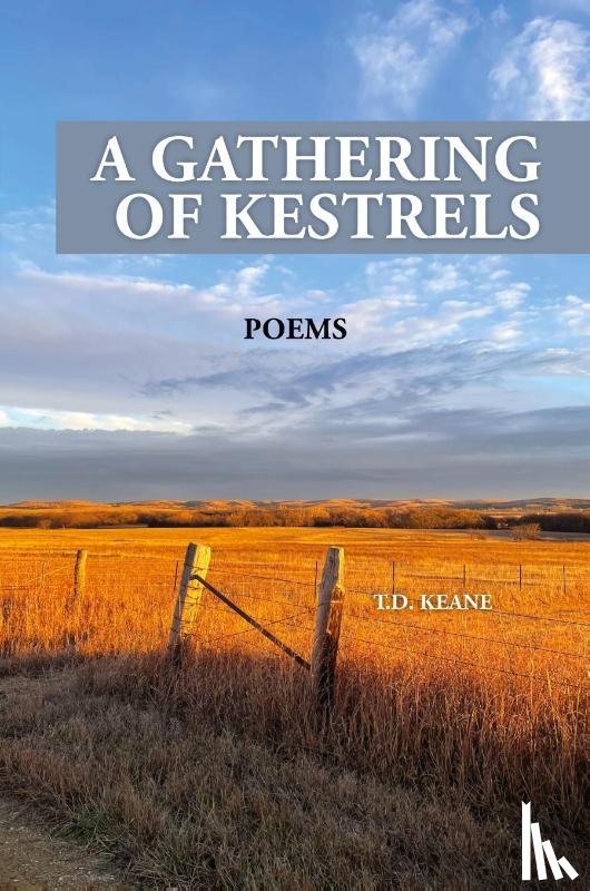Keane, T. D. - A GATHERING OF KESTRELS