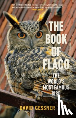 Gessner, David - The Book of Flaco