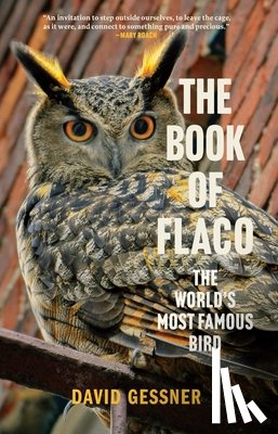 Gessner, David - The Book of Flaco: The World's Most Famous Bird