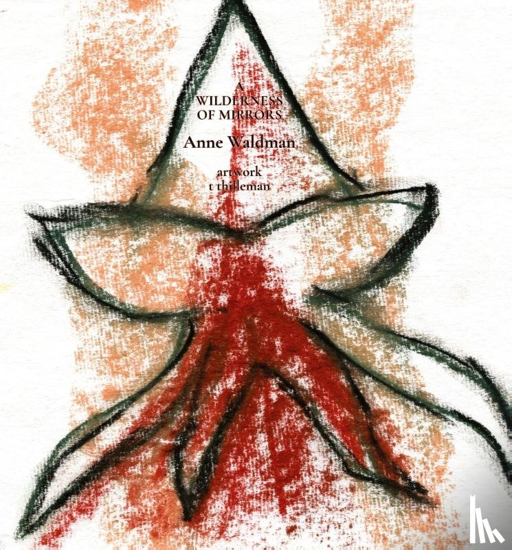 Waldman, Anne - Waldman, A: Wilderness of Mirrors