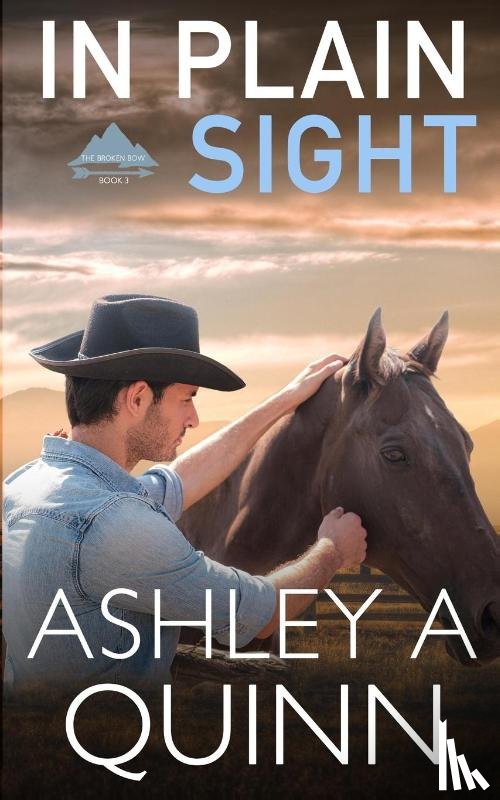 Quinn, Ashley A - In Plain Sight