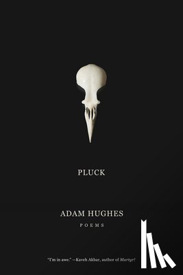 Hughes, Adam - Pluck