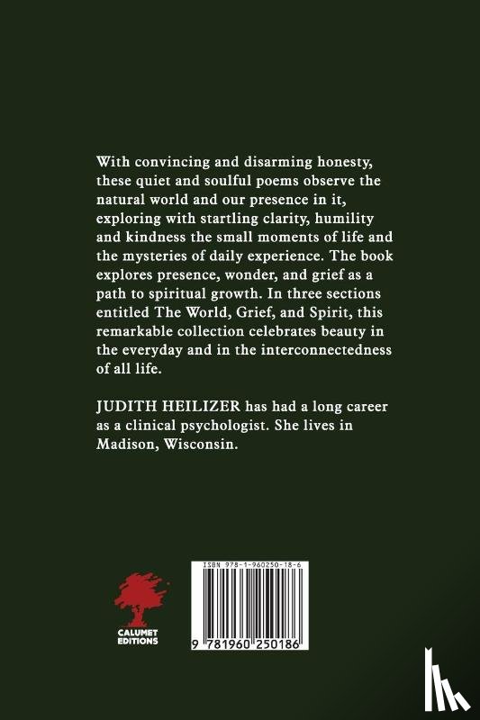 Heilizer, Judith - The Sun Rises as Does the Moon