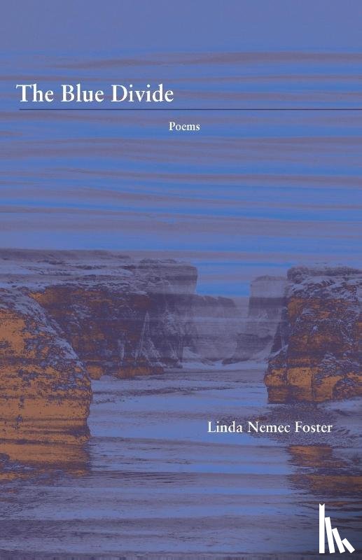 Foster, Linda Nemec - The Blue Divide