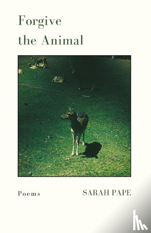 Pape, Sarah - Forgive the Animal