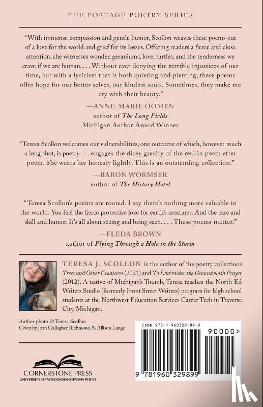 Scollon, Teresa J. - No Trouble Staying Awake
