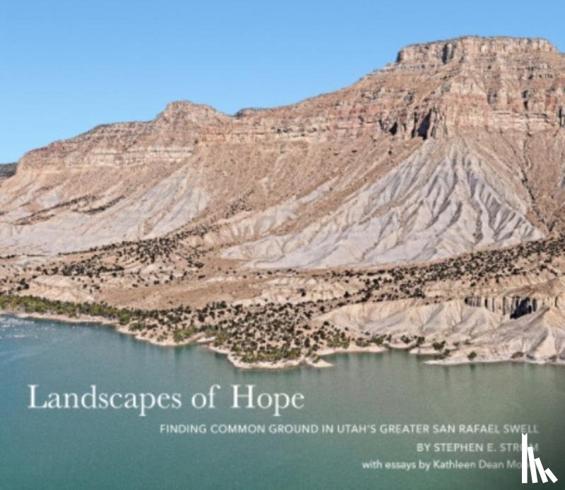 Strom, Stephen E - Landscapes of Hope