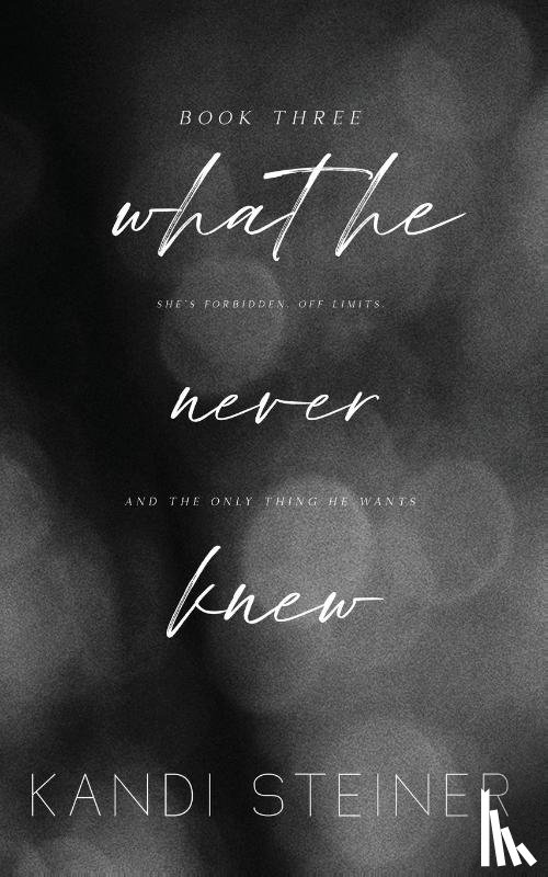 Steiner, Kandi - What He Never Knew
