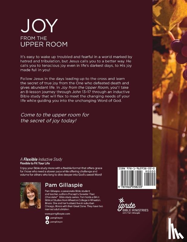 Gillaspie, Pam - JOY from the Upper Room