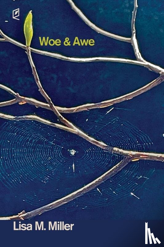 Miller, Lisa M. - Woe & Awe
