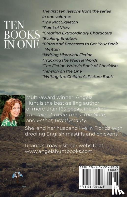 Hunt, Angela E - Writing Lessons from the Front