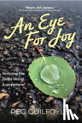 Guilfoyle, Peg - An Eye For Joy