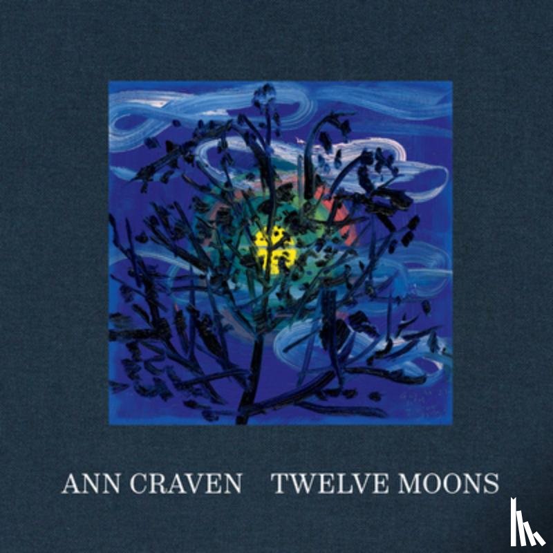  - Ann Craven: Twelve Moons