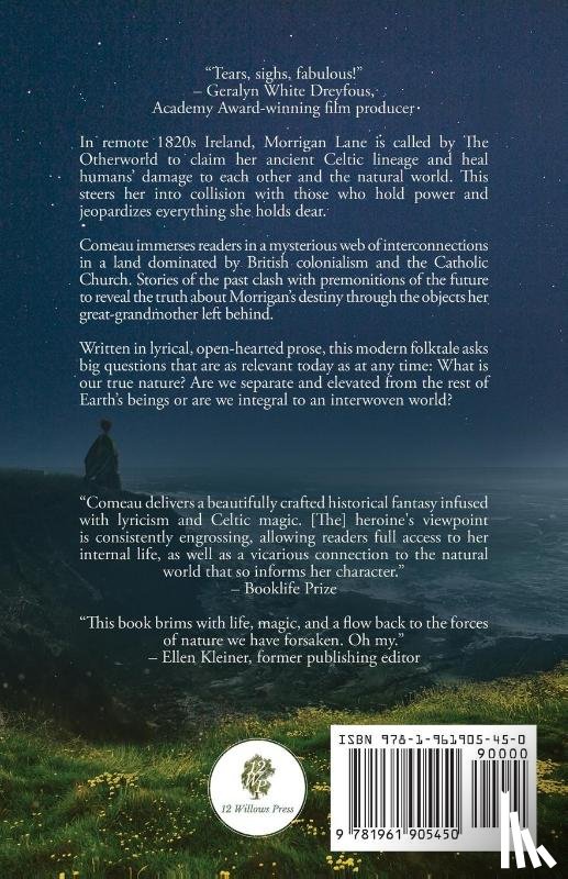 Comeau, Jennifer Elwell - A Moon in All Things