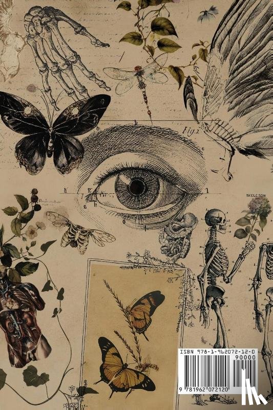 Combs, Melissa - A Disease Called Poetry