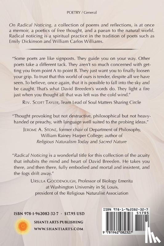 Breeden, David - On Radical Noticing