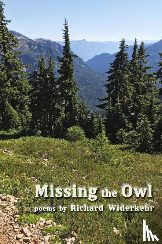 Widerkehr, Richard - Missing the Owl