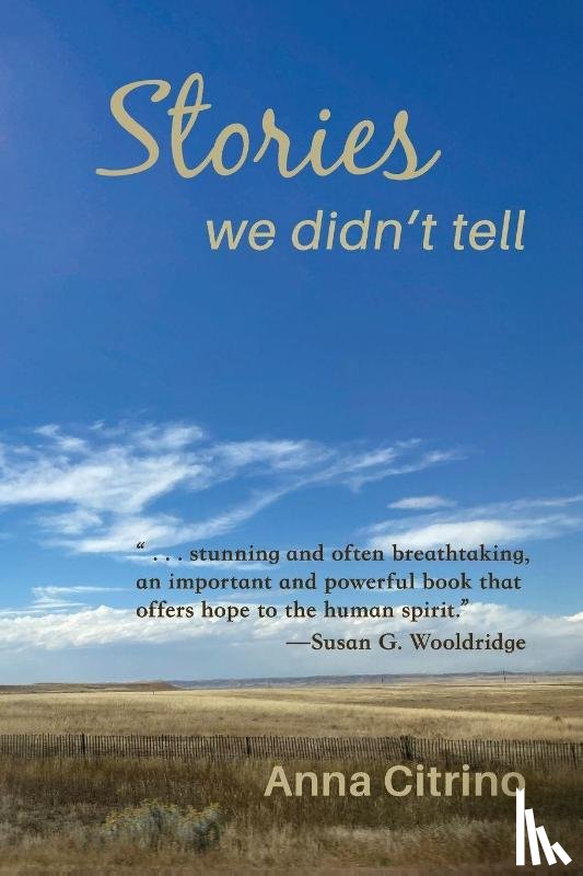 Citrino, Anna - Stories We Didn't Tell
