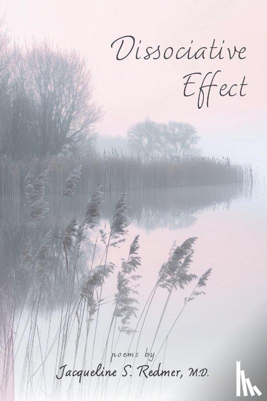 Redmer, Jacqueline S. - Dissociative Effect