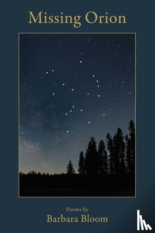 Bloom, Barbara - Missing Orion