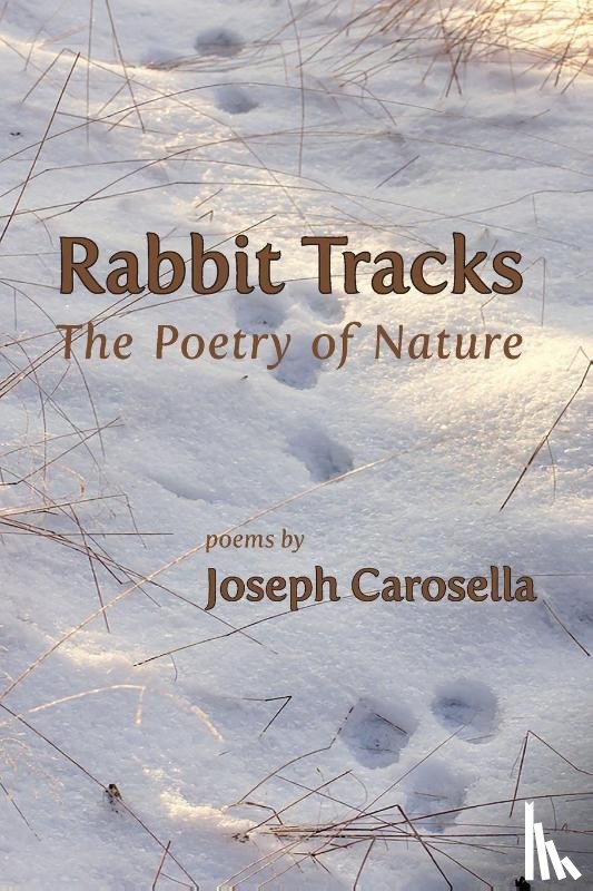 Carosella, Joseph - Rabbit Tracks