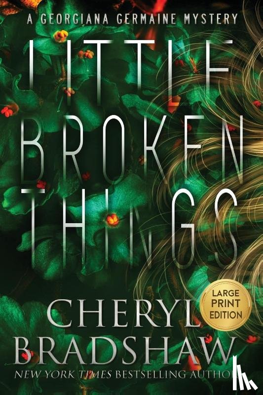 Bradshaw, Cheryl - Little Broken Things, Large Print Edition